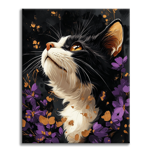 Maľovanie podľa čísel - Selkirk Rex