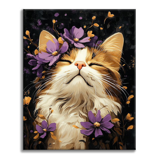 Maľovanie podľa čísel - Mačka ragdoll