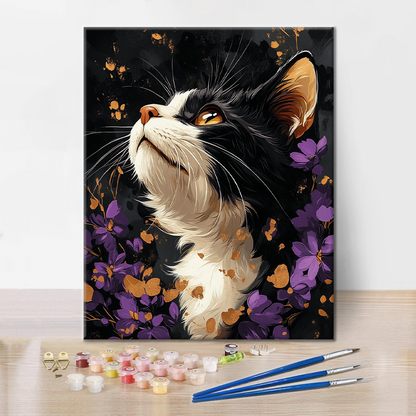 Maľovanie podľa čísel - Selkirk Rex