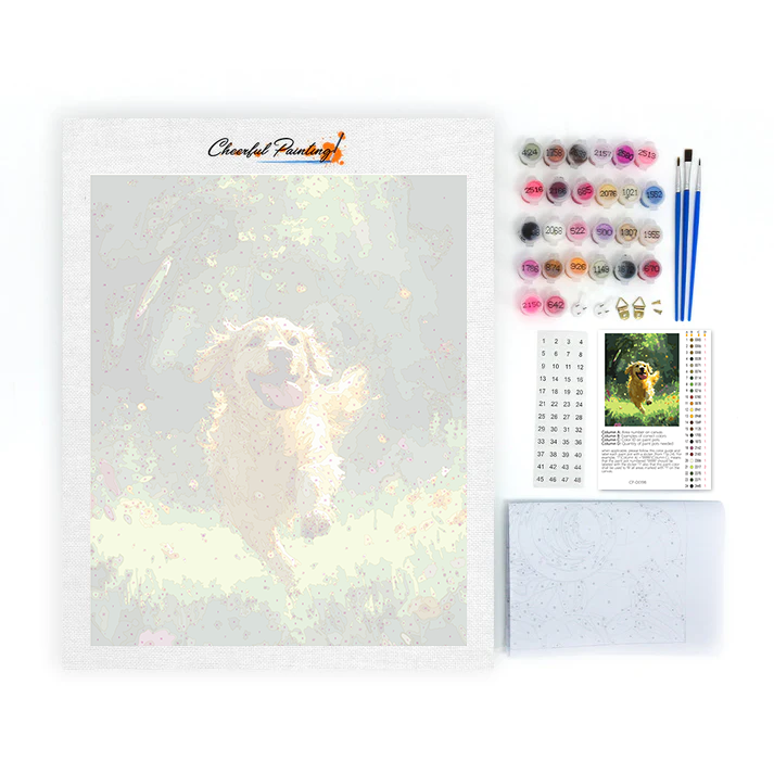 Maľovanie podľa čísel - Zlatý retriever