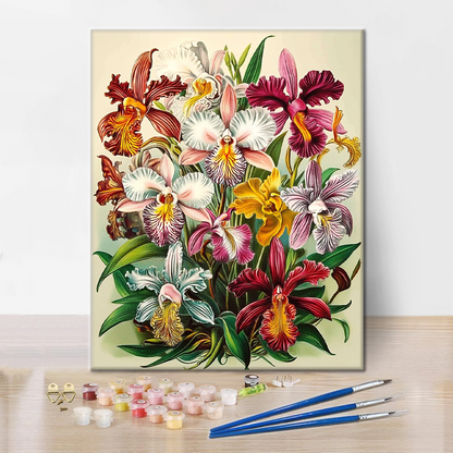 Maľovanie podľa čísel - Orchidee Regali
