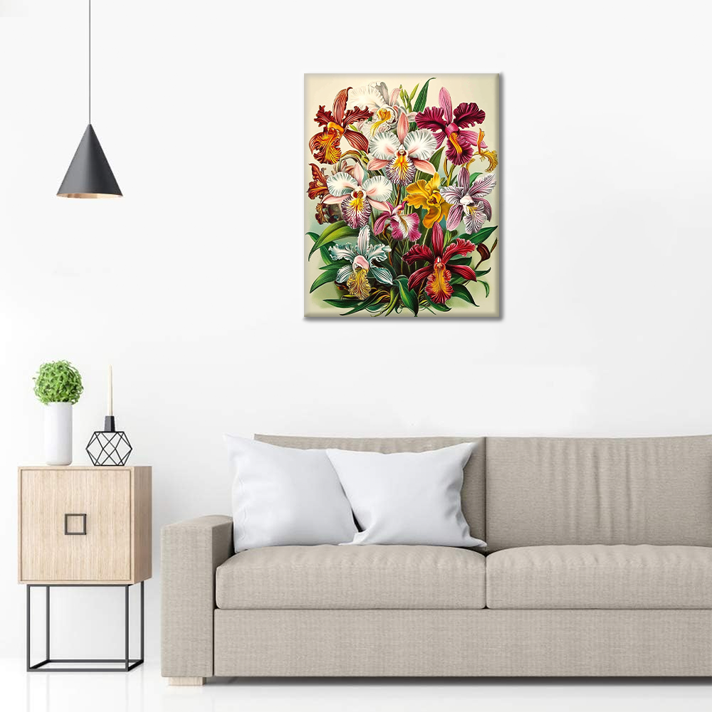Maľovanie podľa čísel - Orchidee Regali