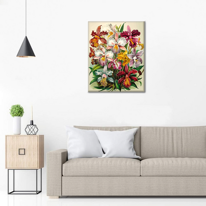 Maľovanie podľa čísel - Orchidee Regali