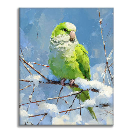 Papagáj - Maľovanie podľa čísiel