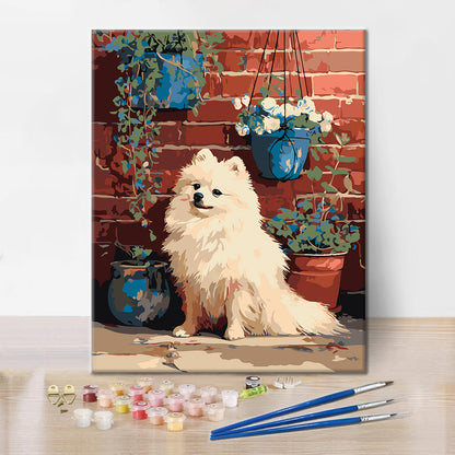 Pomeranian pri tehlovej stene – Maľovanie podľa čísel